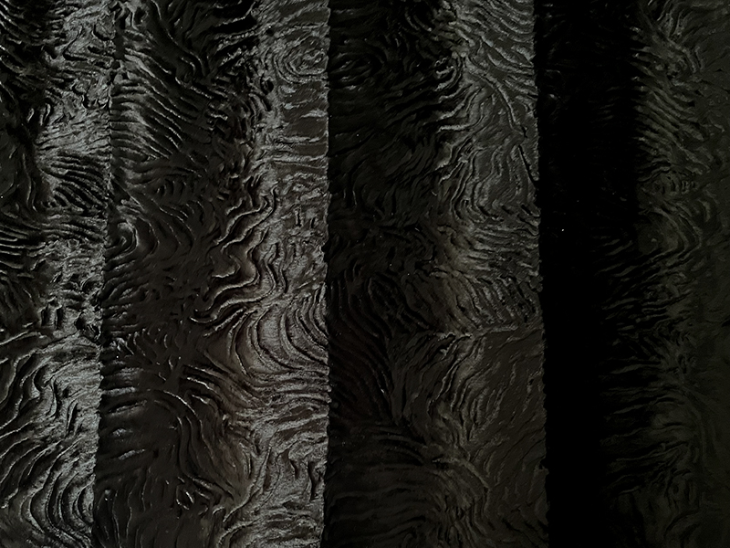 Blanita neagra