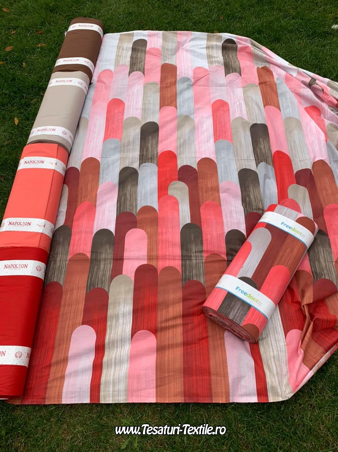 129568901_3767740839937534_4509772021445248139_o